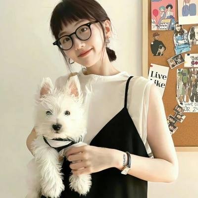 恶犬之下
